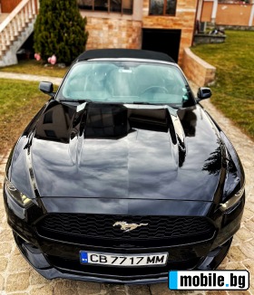     Ford Mustang CABRIO ~41 000 .