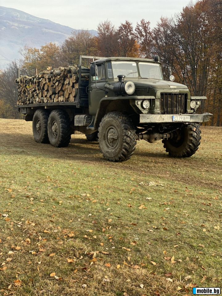 Ural Crone | Mobile.bg   6