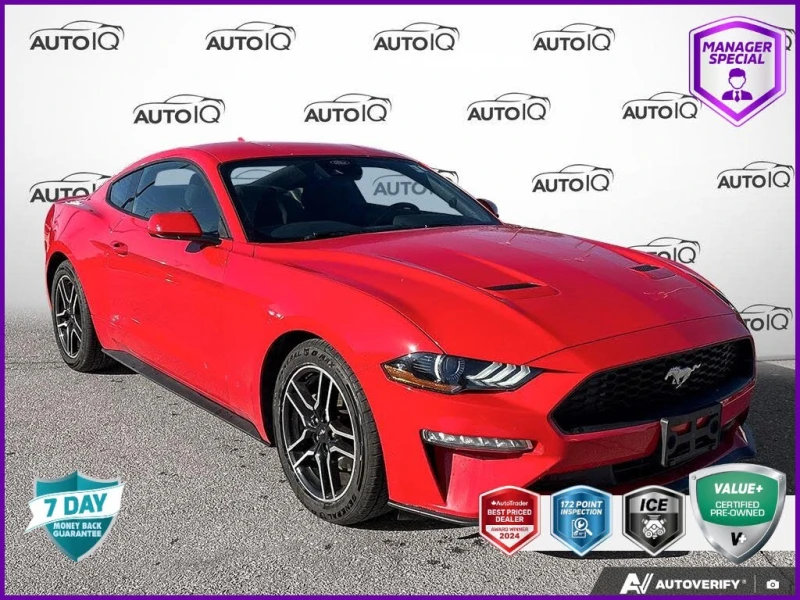 Ford Mustang EcoBoost* Coupe* AвтоКредит * (ЦЕНА ДО БГ) - 21999 € / 43026.30 лв. - 31508000 1 | Car24.bg Ford Mustang EcoBoost* Coupe* AвтоКредит * (ЦЕНА ДО БГ) - 21999 € / 43026.30 лв. - 31508000 1