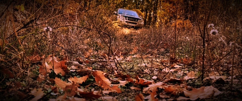 Isuzu D-max - 18500 лв. / 9458.90 € - 71591813 1 | Car24.bg Isuzu D-max - 18500 лв. / 9458.90 € - 71591813 1