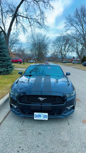 Ford Mustang * CARFAX * БЕЗ ПЪРВОНАЧАЛНА ВНОСКА - 24000 лв. / 12271.01 € - 82039403 6 | Car24.bg Ford Mustang * CARFAX * БЕЗ ПЪРВОНАЧАЛНА ВНОСКА - 24000 лв. / 12271.01 € - 82039403 6