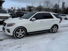 Mercedes-Benz ML 350 * BlueTEC * CARFAX * ЦЕНА ДО БГ - 15450 € / 30217.57 лв. - 59237799 2 | Car24.bg Mercedes-Benz ML 350 * BlueTEC * CARFAX * ЦЕНА ДО БГ - 15450 € / 30217.57 лв. - 59237799 2