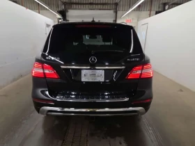 Mercedes-Benz ML 350 * BLUETEC * CARFAX * ЦЕНА ДО БГ - 14500 € / 28359.53 лв. - 22964013 4 | Car24.bg Mercedes-Benz ML 350 * BLUETEC * CARFAX * ЦЕНА ДО БГ - 14500 € / 28359.53 лв. - 22964013 4