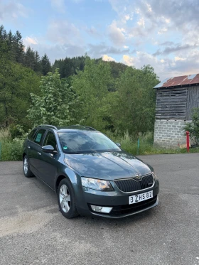 Skoda Octavia Greenline 1.6TDI | Auto.bg — изображение 2 Skoda Octavia Greenline 1.6TDI | Auto.bg — изображение 2