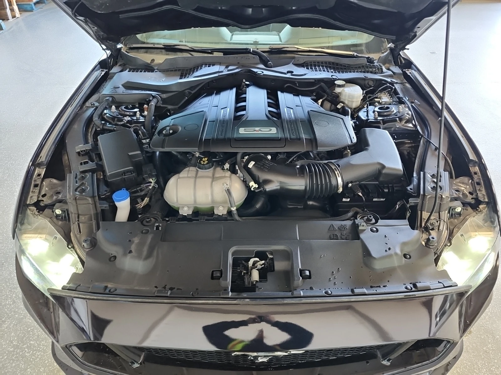 Ford Mustang * GT* CARFAX * БЕЗ ПЪРВОНАЧАЛНА ВНОСКА - изображение 10 | Auto.bg Ford Mustang * GT* CARFAX * БЕЗ ПЪРВОНАЧАЛНА ВНОСКА - изображение 10