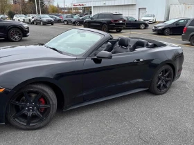 Ford Mustang * EcoBoost * CARFAX * БЕЗ ПЪРВОНАЧАЛНА ВНОСКА - 32500 лв. / 16616.99 € - 29285197 3 | Car24.bg Ford Mustang * EcoBoost * CARFAX * БЕЗ ПЪРВОНАЧАЛНА ВНОСКА - 32500 лв. / 16616.99 € - 29285197 3