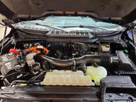 Ford F150 3.5L 6 4X4 W/REAR WHEEL DRV | Auto.bg — изображение 11 Ford F150 3.5L 6 4X4 W/REAR WHEEL DRV | Auto.bg — изображение 11