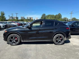 Alfa Romeo Stelvio * AWD * CARFAX * ОПЦИЯ ЗА ФИНАНСИРАНЕ | Auto.bg — изображение 2 Alfa Romeo Stelvio * AWD * CARFAX * ОПЦИЯ ЗА ФИНАНСИРАНЕ | Auto.bg — изображение 2