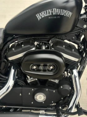Harley-Davidson Sportster IRON 883 | Auto.bg — изображение 6 Harley-Davidson Sportster IRON 883 | Auto.bg — изображение 6