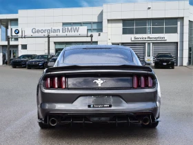 Ford Mustang V6* Coupe* RWD* АвтоКредит* (Цена до БГ) - 17999 € / 35202.98 лв. - 85234974 5 | Car24.bg Ford Mustang V6* Coupe* RWD* АвтоКредит* (Цена до БГ) - 17999 € / 35202.98 лв. - 85234974 5