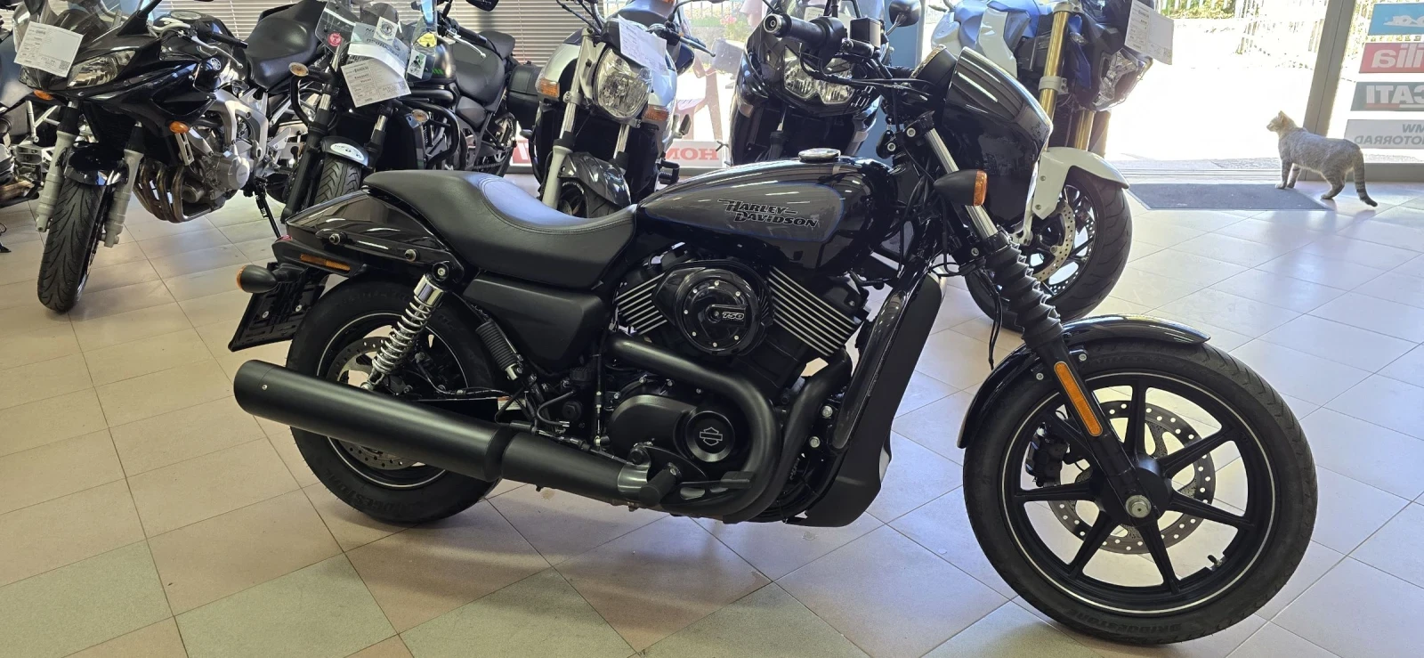 Harley-Davidson Street 750 Като нов ! - изображение 4 | Auto.bg Harley-Davidson Street 750 Като нов ! - изображение 4