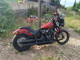 Harley-Davidson Street undefined | Auto.bg — изображение 5 Harley-Davidson Street undefined | Auto.bg — изображение 5