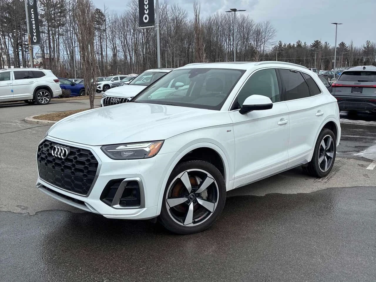 Audi Q5 Progressiv/ДИСТРОНИК/ПАНОРАМА/ПРЕДСТАВИТЕЛСТВО | Auto.bg — изображение 1 Audi Q5 Progressiv/ДИСТРОНИК/ПАНОРАМА/ПРЕДСТАВИТЕЛСТВО | Auto.bg — изображение 1