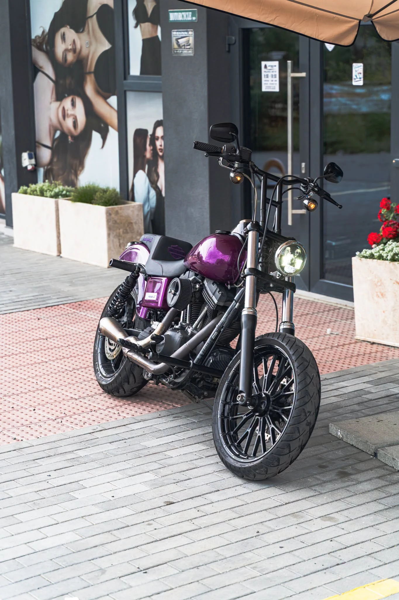 Harley-Davidson Dyna Street Bob Club Style | Auto.bg — изображение 1 Harley-Davidson Dyna Street Bob Club Style | Auto.bg — изображение 1