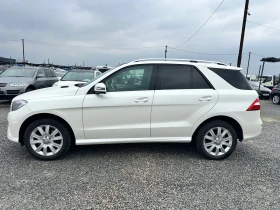 Mercedes-Benz ML 350 CDI.AMG.PACK-Distronic - 15000 € / 29337.45 лв. - 88907660 5 | Car24.bg Mercedes-Benz ML 350 CDI.AMG.PACK-Distronic - 15000 € / 29337.45 лв. - 88907660 5