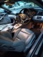Обява за продажба на BMW 330 ~6 666 лв. - изображение 8