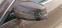 Обява за продажба на Mercedes-Benz E 220 ~14 500 лв. - изображение 7