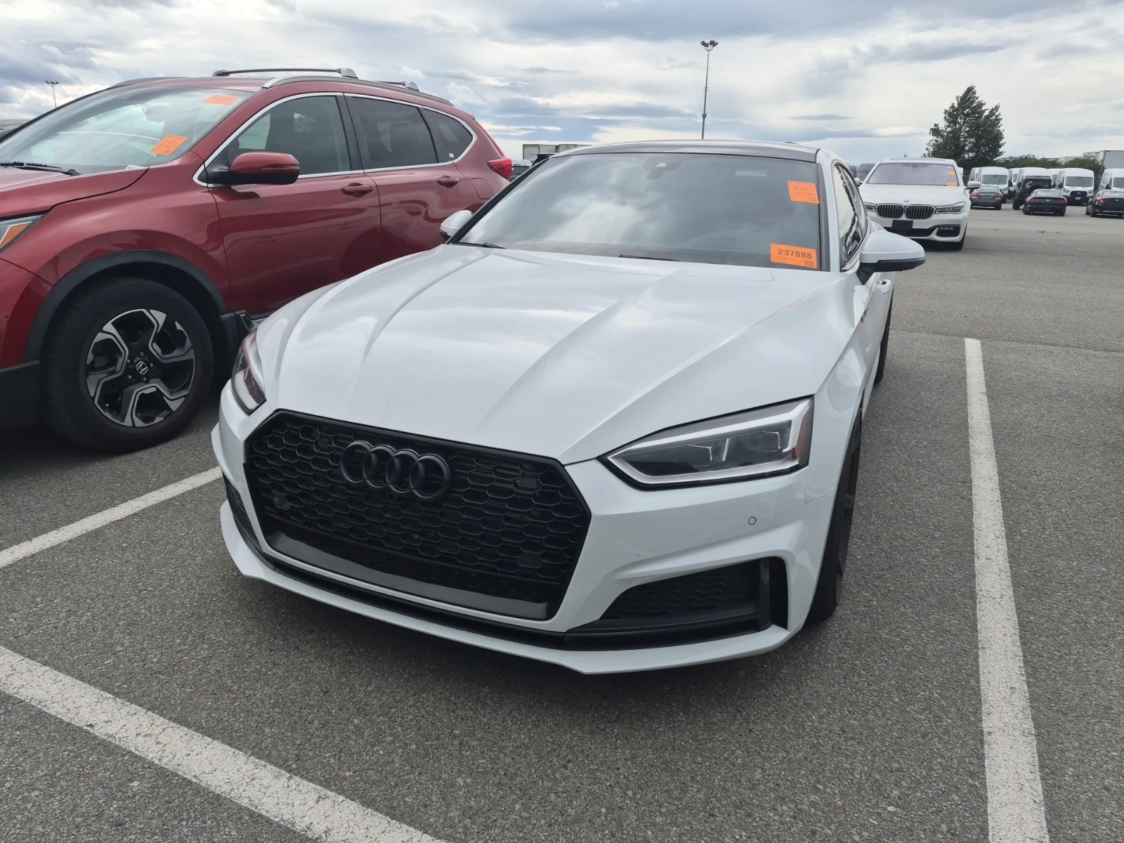 Audi S5 TECHNIK / АВТОКРЕДИТ | Auto.bg — изображение 1 Audi S5 TECHNIK / АВТОКРЕДИТ | Auto.bg — изображение 1