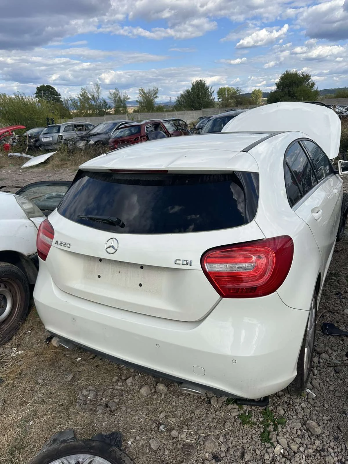Mercedes-Benz A 220 undefined | Auto.bg — изображение 1 Mercedes-Benz A 220 undefined | Auto.bg — изображение 1