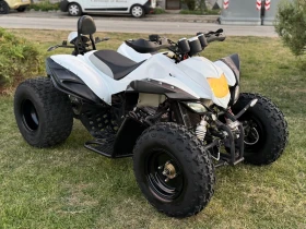 Jinlun JL 250 250cc ЗАДНА РЕГ-КАТ