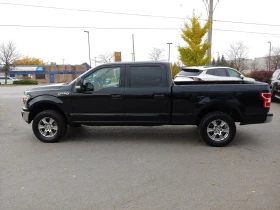 Ford F150 SuperCrew XLT 5.0 V8 Автокредит Цена до България | Auto.bg — изображение 5 Ford F150 SuperCrew XLT 5.0 V8 Автокредит Цена до България | Auto.bg — изображение 5