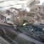 Обява за продажба на Kia Ceed ЛИЗИНГ ~3 000 лв. - изображение 3