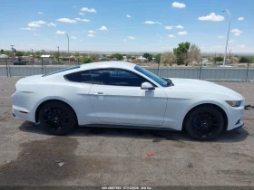 Ford Mustang undefined | Auto.bg — изображение 15 Ford Mustang undefined | Auto.bg — изображение 15