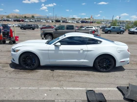 Ford Mustang undefined | Auto.bg — изображение 3 Ford Mustang undefined | Auto.bg — изображение 3