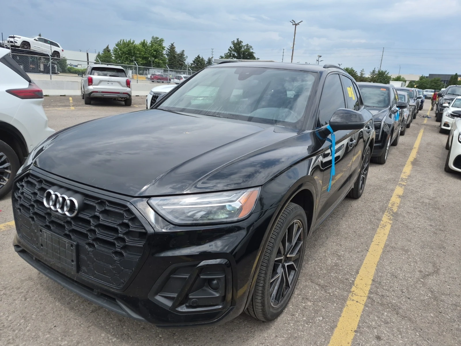 Audi Q5 Progressiv / Quattro / Panorama / | Auto.bg — изображение 1 Audi Q5 Progressiv / Quattro / Panorama / | Auto.bg — изображение 1