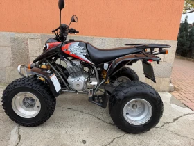 Yamaha Raptor Ezplorer 250 | Auto.bg — изображение 5 Yamaha Raptor Ezplorer 250 | Auto.bg — изображение 5
