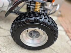 Yamaha Raptor Ezplorer 250 | Auto.bg — изображение 11 Yamaha Raptor Ezplorer 250 | Auto.bg — изображение 11