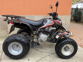 Yamaha Raptor Ezplorer 250 | Auto.bg — изображение 2 Yamaha Raptor Ezplorer 250 | Auto.bg — изображение 2