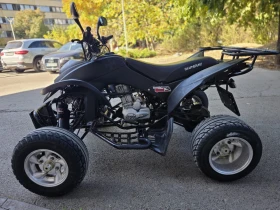 Shineray XY Нов внос от Германия | Auto.bg — изображение 5 Shineray XY Нов внос от Германия | Auto.bg — изображение 5