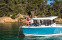 Обява за продажба на Лодка Quicksilver 805 Pilothouse  ~ 118 850 лв. - изображение 3