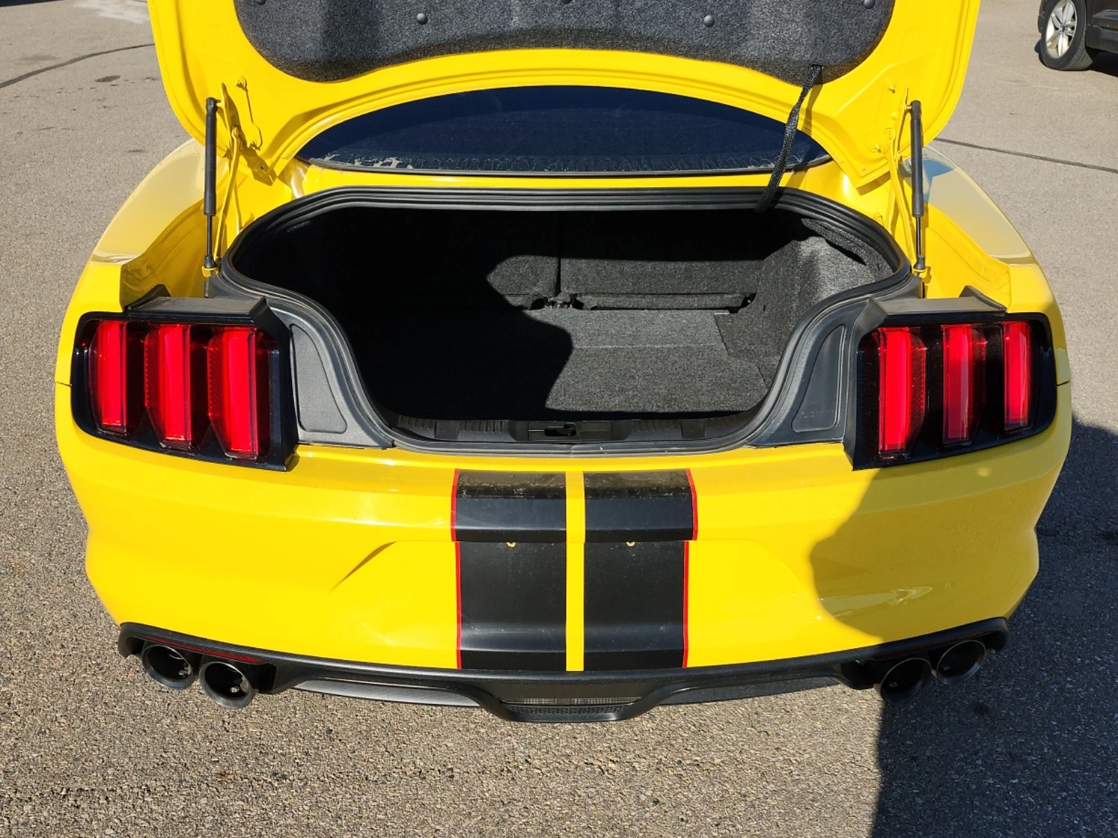 Ford Mustang * SHELBY GT * CARFAX * БЕЗ ПЪРВОНАЧАЛНА ВНОСКА - изображение 10 | Auto.bg Ford Mustang * SHELBY GT * CARFAX * БЕЗ ПЪРВОНАЧАЛНА ВНОСКА - изображение 10