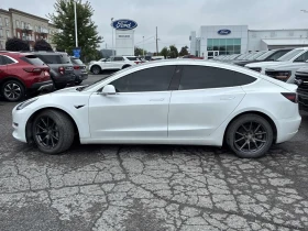 Tesla Model 3 LONG RANGE DUAL MOTOR* ПОДГРЕВ* КОЖА* ПАНОРАМА* - 17999 € - 94882870 3 | Car24.bg Tesla Model 3 LONG RANGE DUAL MOTOR* ПОДГРЕВ* КОЖА* ПАНОРАМА* - 17999 € - 94882870 3