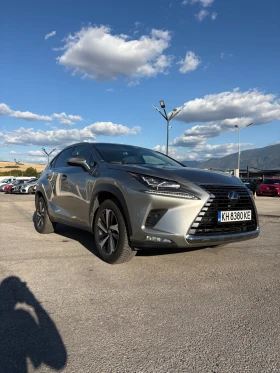 Lexus NX 300h