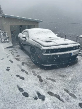 Dodge Challenger 6.4L SRT - 38000 € / 74321.54 лв. - 54327630 6 | Car24.bg Dodge Challenger 6.4L SRT - 38000 € / 74321.54 лв. - 54327630 6
