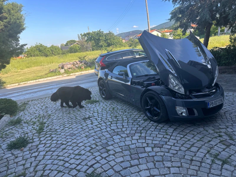 Opel Gt Кабриолет - 27000 лв. / 13804.88 € - 92896209 1 | Car24.bg Opel Gt Кабриолет - 27000 лв. / 13804.88 € - 92896209 1