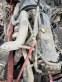 Обява за продажба на Iveco 440e42 На части ~11 лв. - изображение 10