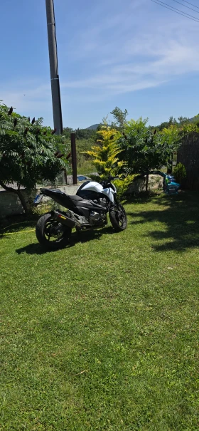 Kawasaki Z Регистриран А 2 | Auto.bg — изображение 11 Kawasaki Z Регистриран А 2 | Auto.bg — изображение 11