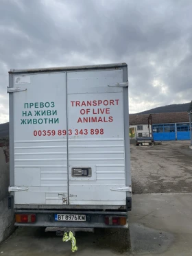 Toyota DYNA ЖИВОТНОВОЗ | Auto.bg — изображение 3 Toyota DYNA ЖИВОТНОВОЗ | Auto.bg — изображение 3