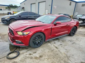 Ford Mustang !!!FULL SPECIAL!!!