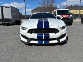 Ford Mustang * Shelby * АВТОКРЕДИТ БЕЗ ПЪРВОНАЧАЛНА ВНОСКА* | Auto.bg — изображение 6 Ford Mustang * Shelby * АВТОКРЕДИТ БЕЗ ПЪРВОНАЧАЛНА ВНОСКА* | Auto.bg — изображение 6