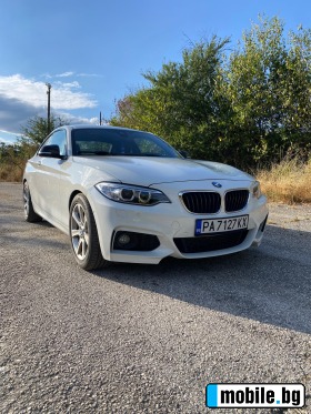     BMW 220 ~33 500 .