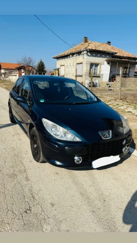 Peugeot 307 1.6, снимка 1