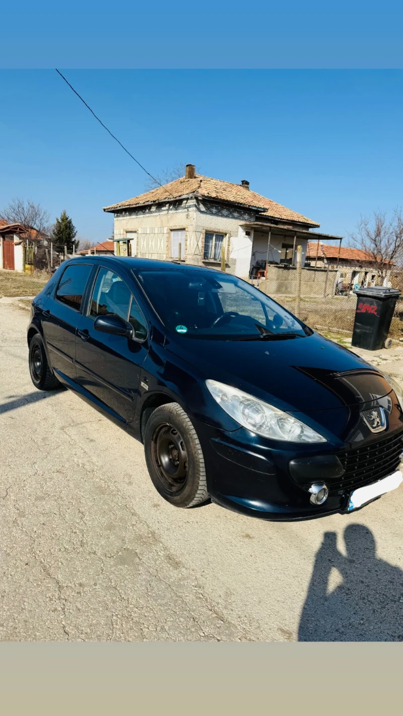 Peugeot 307 1.6, снимка 3 - Автомобили и джипове - 49131026