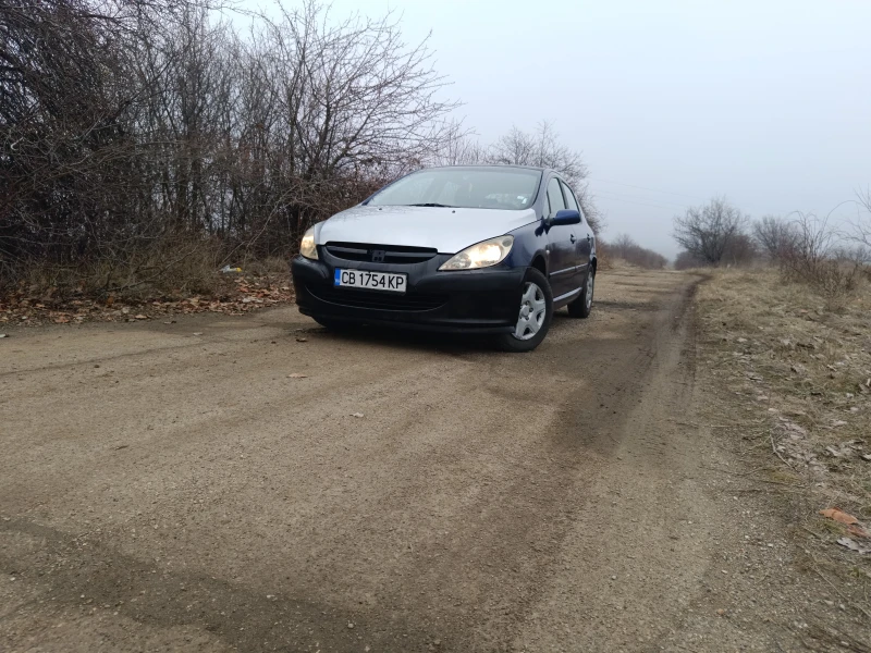 Peugeot 307 1.6, снимка 1 - Автомобили и джипове - 48822448