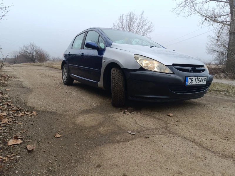 Peugeot 307 1.6, снимка 2 - Автомобили и джипове - 48822448