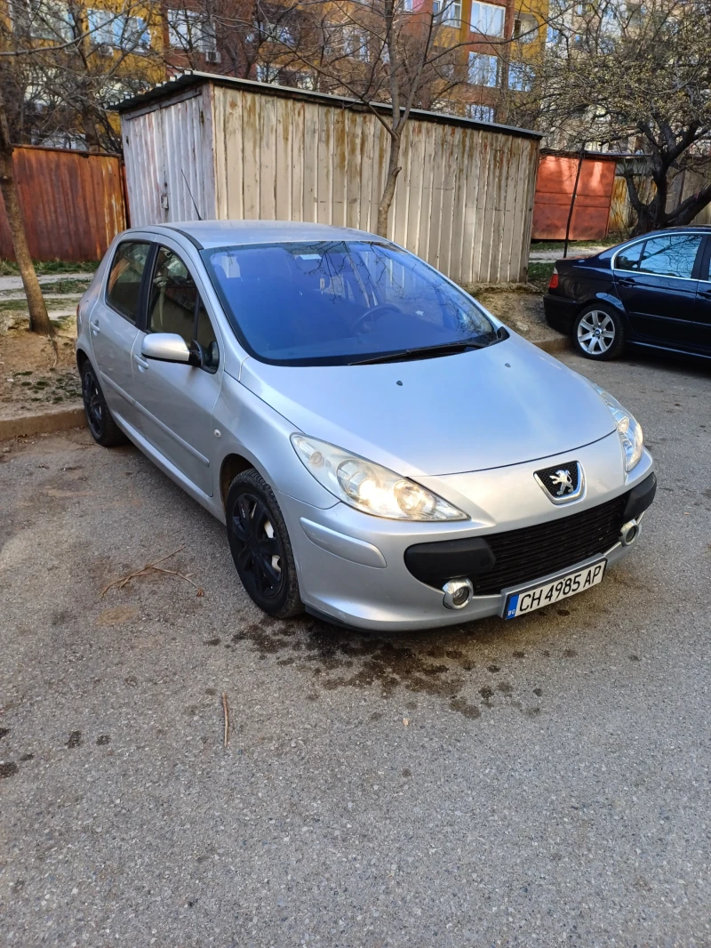 Peugeot 307, снимка 2 - Автомобили и джипове - 49423040